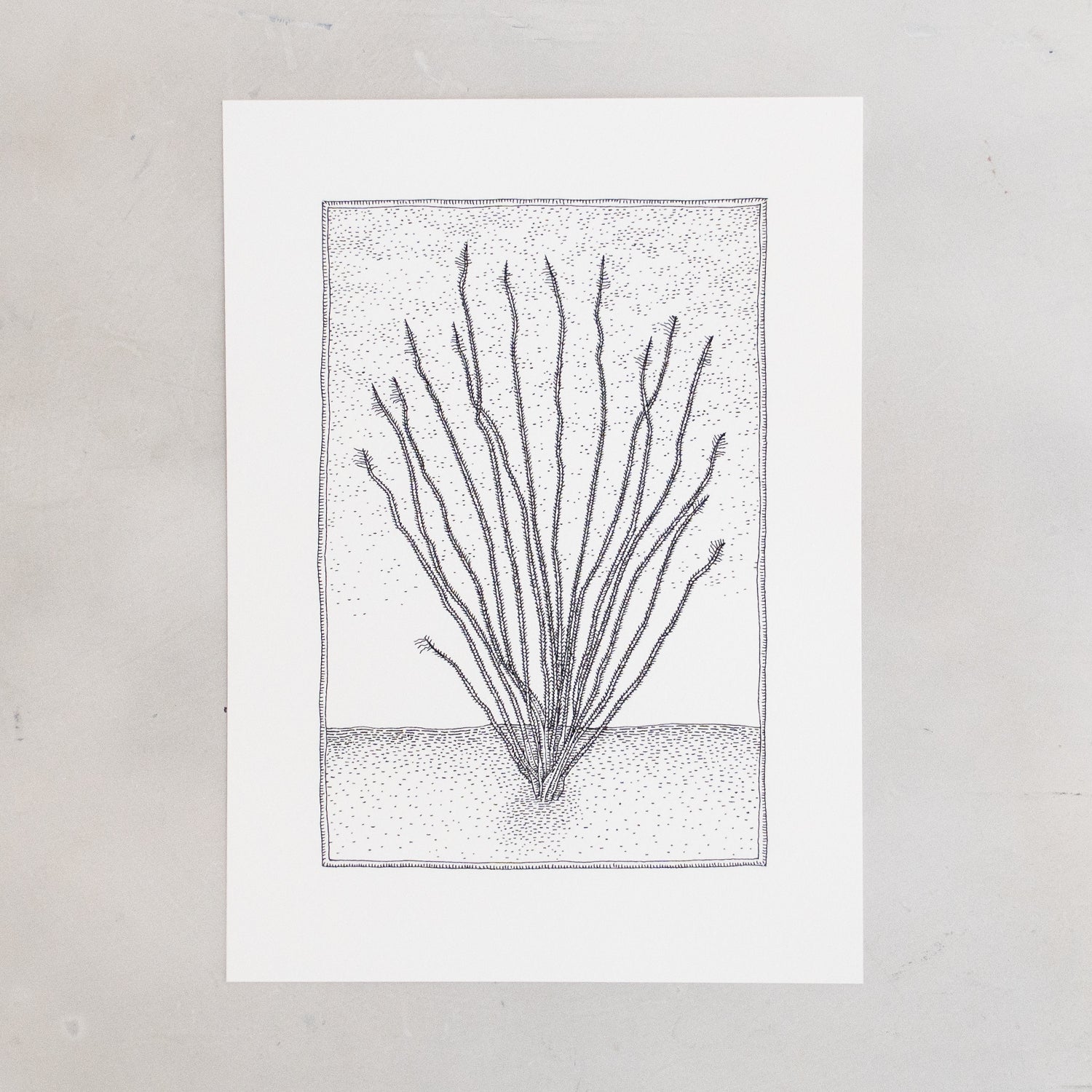 Ocotillo Print - Image 2